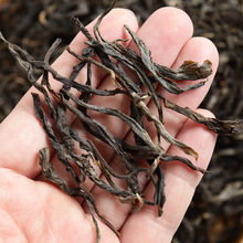 ���l ����ն��� 2021���ϰ������� �紺�� ɢ��  ��ǰ�^��