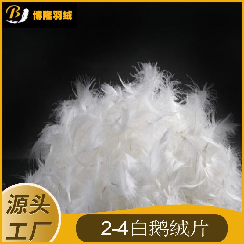 2-4白鹅绒片.jpg