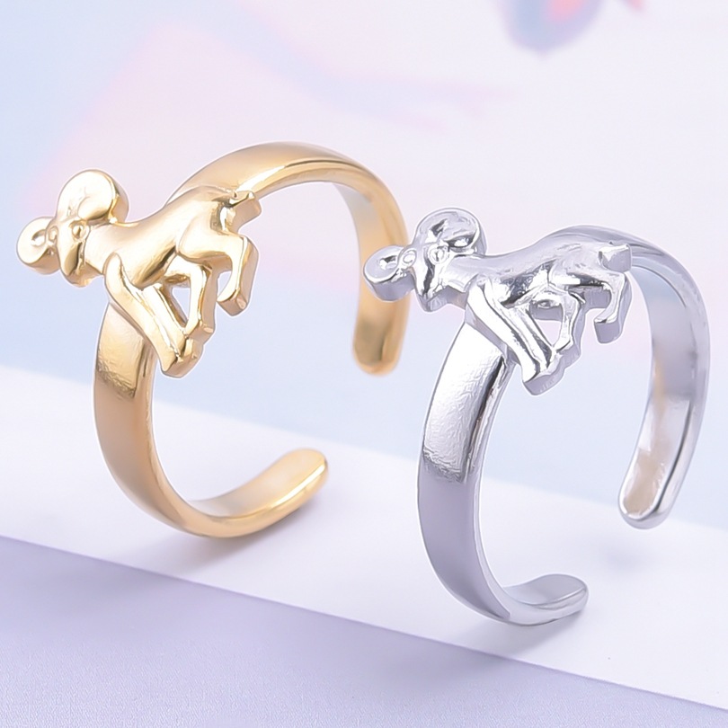 Wholesale 1 Piece Simple Style Constellation Titanium Steel Rings display picture 1