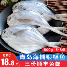 �O����~�O����~ ���u����С�K�~  500g 5-8�l ���bСƽ�~�y�K�~