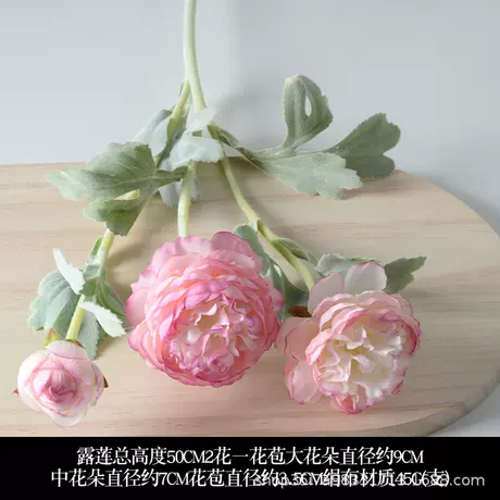 3-head dew lotus pink purple