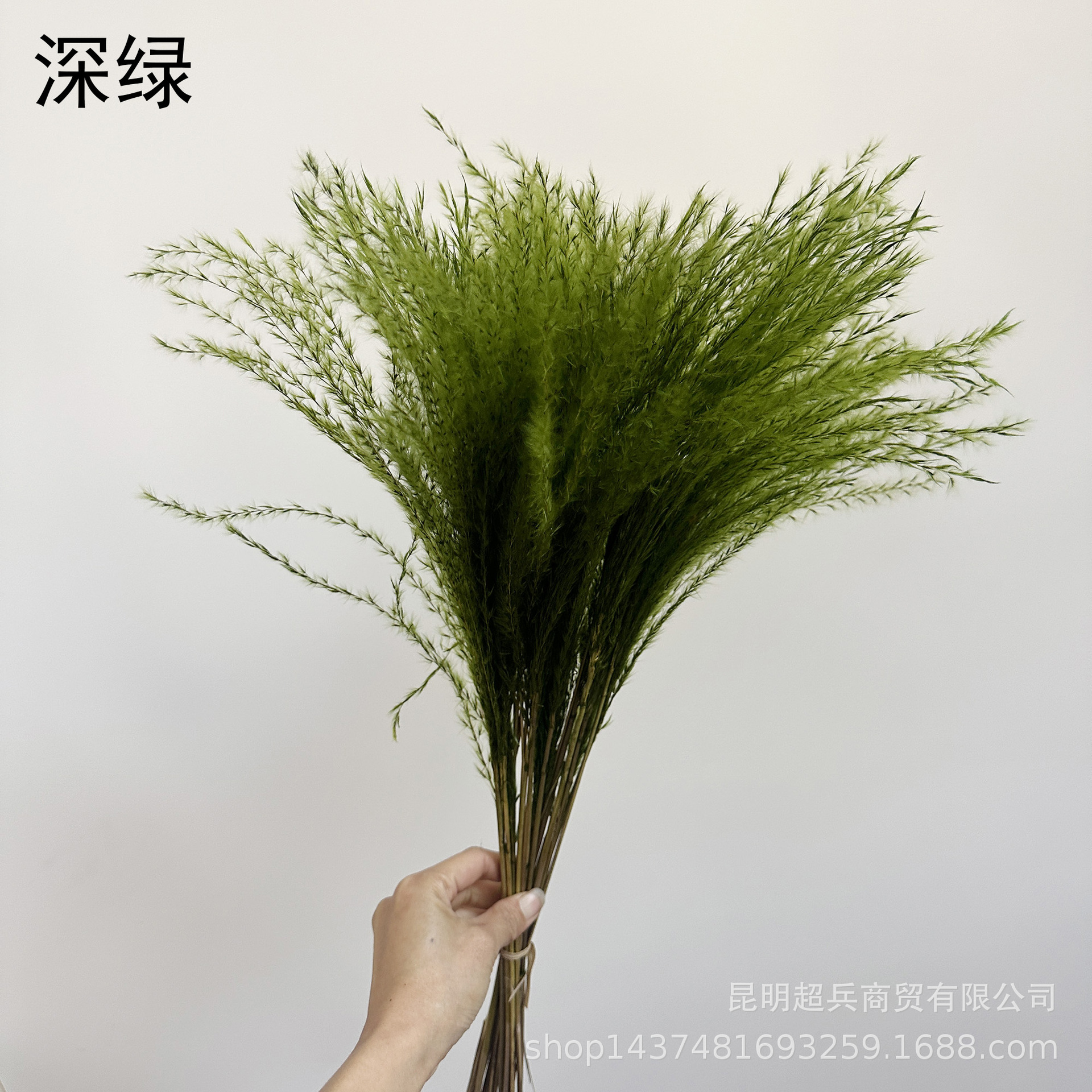 微信图片_20250310133810.jpg