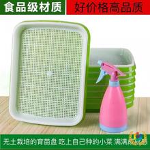 ?ˮ��W��Pѿ������綹ѿ����P�Nֲ���̨�N�˱Pˮ���㶹