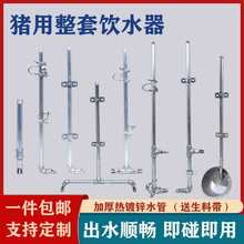 猪用饮水设备水嘴水管猪饮水管水碗母猪产床饮水器定位栏自动喂水