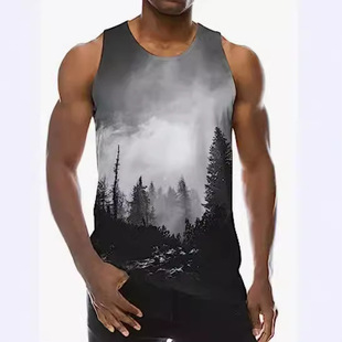 Cross-borDer Factory Direct Men's New Sleeveless Top Men's Casual Loose Large Size 3D Digital Printing Vest