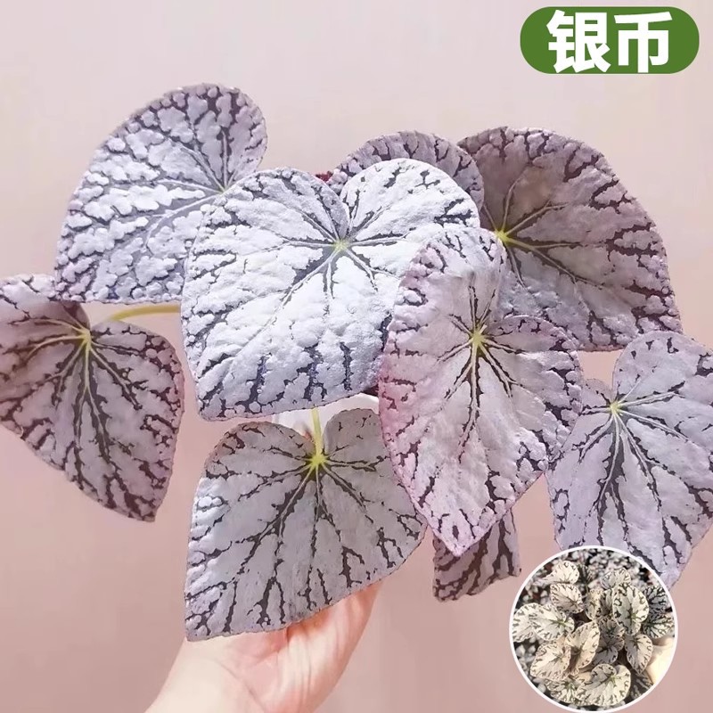 Silver coin