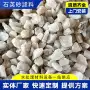 污水除锈处理泳池滤料