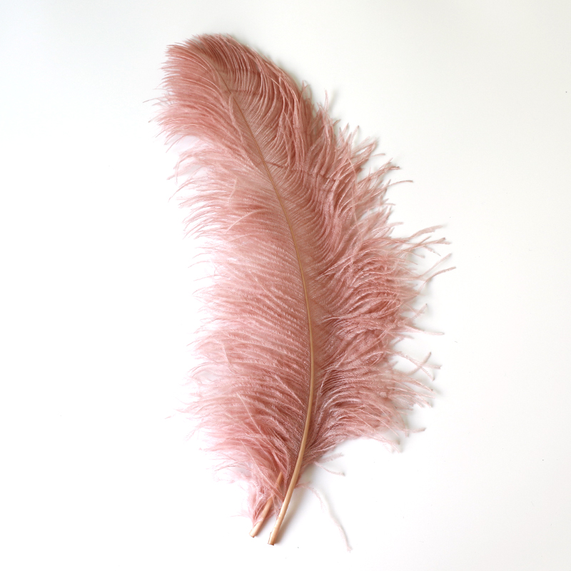 Plumas de avestruz DIY red ins rosa de avestruz accesorios de fotografía de camello adornos de plumas de boda decoración