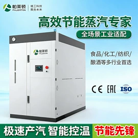 蒸汽发生器;燃气锅炉