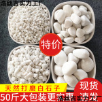 50ɫʯʯͷʯͥԺ·̵Сʯ԰쾰۰ʯ