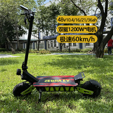 11ԽҰp늄ӻ܇ۯB{܇܇electric scooter