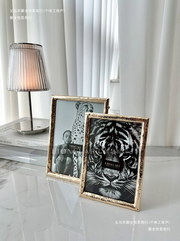 Living Room Gifts Like This: High-End Luxury Dining Table, Entryway Photo Frame, Metal Storage Gifts