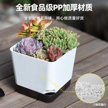 多肉花盆塑料大口径多肉植物盆栽个性桌面小号盆价