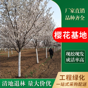 �ѻ����� �S��ֱ�N3-30�����ձ���� ��� ꖹ�� Ⱦ����Ұ�ѻ���