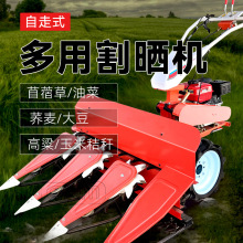 С͸ɹũö๦ַܵͻʽС󵾹ո