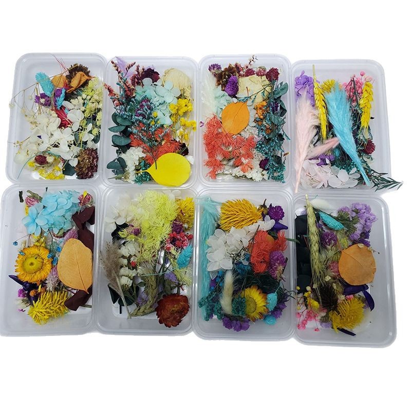Flores secas preservadas hechas a mano, marco de fotos DIY, decoración mixta, materiales de aromaterapia, flores naturales, ramo de regalo para boda, San Valentín