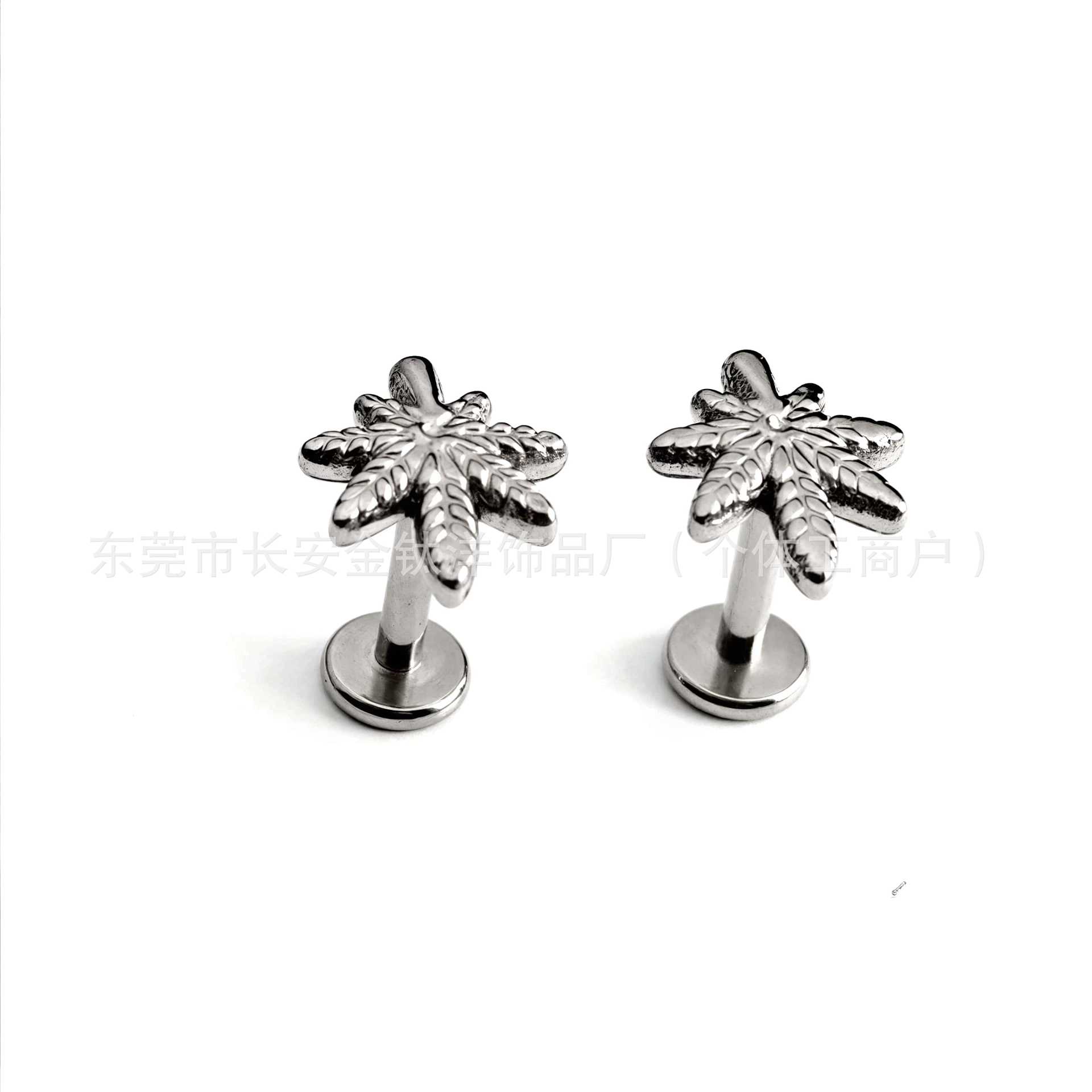 Pointed titanium steel lip stud product view