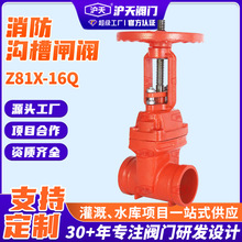 ϲlyZ81X-16QܛܷīTFϲUly