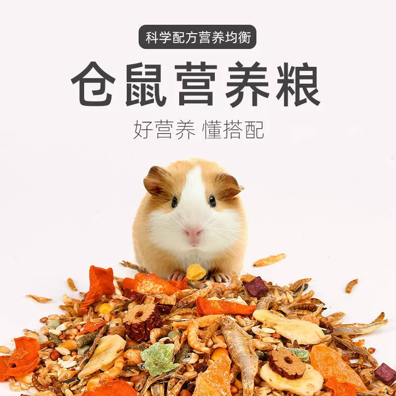 Корм для хомяков, корм для крыс, закуски, основной корм, основной корм, питание, корм для золотистого хомяка, корм для белок, товары для домашних животных
