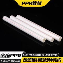 厂家直销 PPR热水管 管材管件批发 水管配件