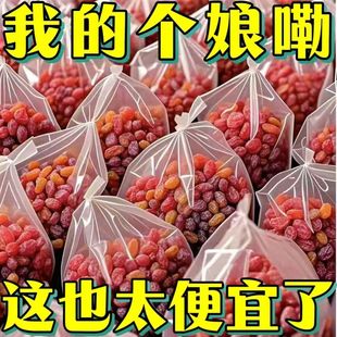 �������t�����Ѹ��½����ɼt��ɼt������ϴ�����������o����