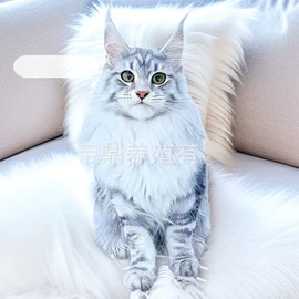 猫;狗