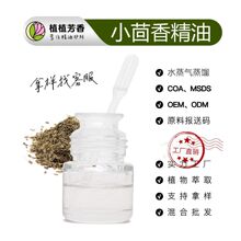 С���㾫�� ���s��ȡ������ Fennel Oil С����η����͏S�����l