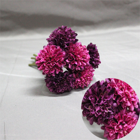 Purple+purple red