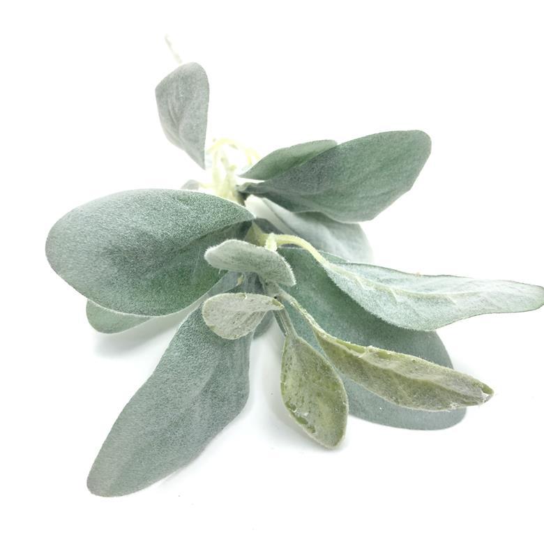 2021-07-21 180519.jpg