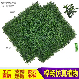 �������m�� ֲ� �������m��  50x50cm ���m��  25x25cm ���m�~