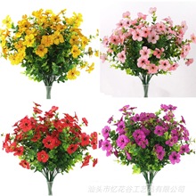 �S�ҹ��� ���滨�ٻ����ϸɻ� �ȼ������_�m �Gɫֲ������7��35