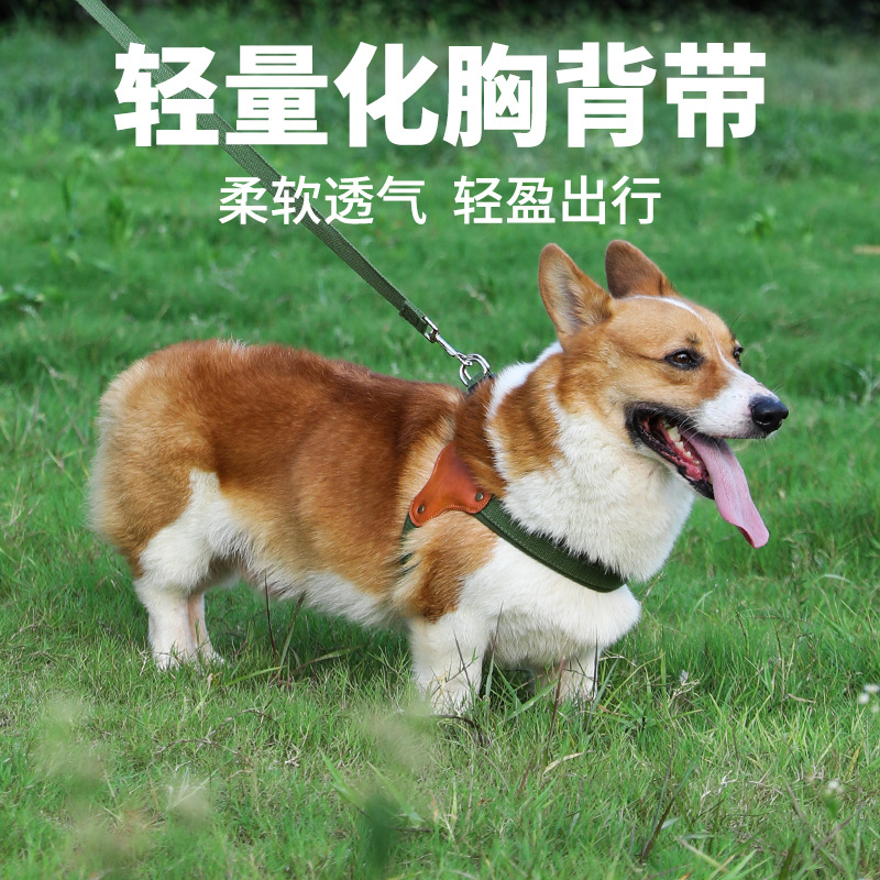 Perro transfronterizo de aleación gruesa torso hebilla espalda cuerda de tracción al por mayor oro bordes de pastoreo perros grandes mascotas correa de tracción cuerda de perro