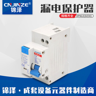 Small Anti-Leakage Circuit Breaker Dpnle (Dz30Le Micro Switch Automatic Power Off and Anti-Electric Shock
