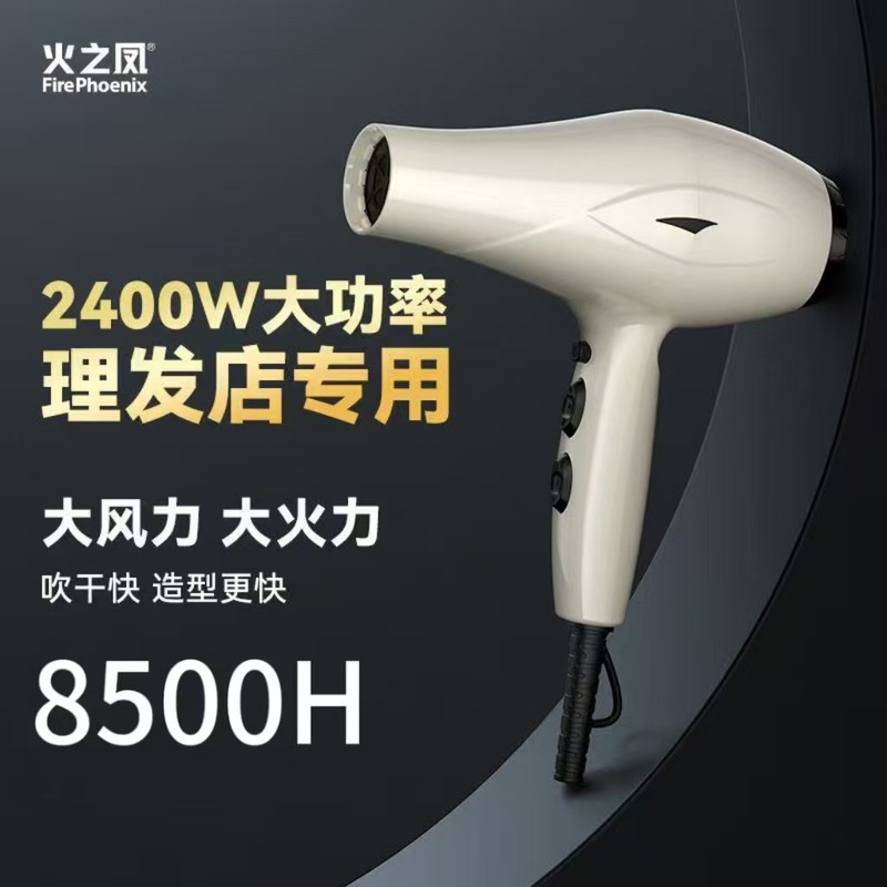 火之凤8500H正品吹风机发廊专用大功率理发店发型师家用风筒|undefined