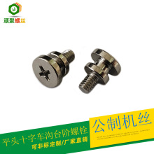 圆平头十字车沟台阶机械牙螺栓M4*12半牙 不锈钢316储能螺钉本色