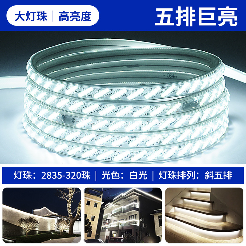 2835-320 lamp five rows of white light