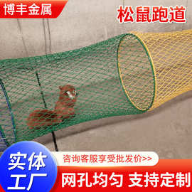 松鼠跑道笼空中赛道网松鼠桥笼子电焊网养殖跑道圆形可伸缩跑道