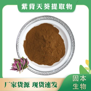 紫背天葵提取物 紫背天葵粉 水溶紫背菜/血皮菜提取物 厂家包邮