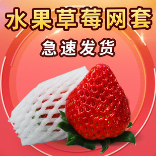 Factory Direct Sales Fruit Net Cover Thickened Protective Cover Apricot Foam Bag Breathable Anti-Collision Foam Net Strawberry Fruit Cover