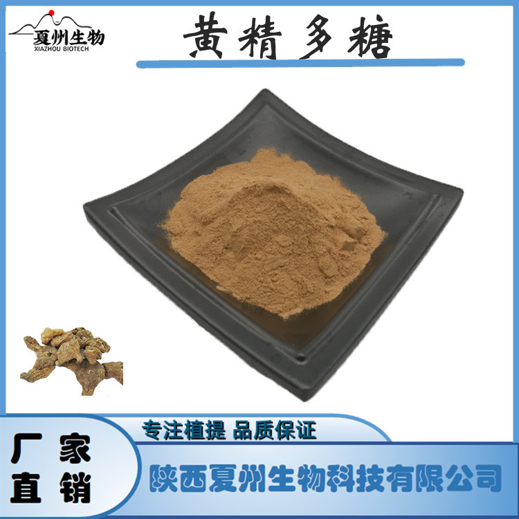 黄精多糖 30/50% 黄精提取物 水溶 粉末 保健原料  夏州供应