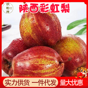 ��������ʺ���9�����䮔�����rˮ����Ƥ����10���l���]5��tƤ��