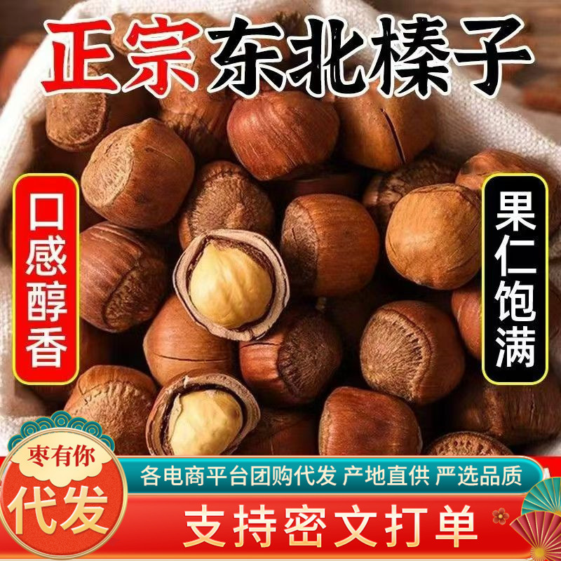 Northeast Wild Hazelnut New Bags Original Thin Skin Pregnant Women Nut Snacks Wholesale Price Tieling Specialty Hazelnut