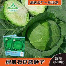 �G���{�N�ӈA�ײ˰��˷N�ѾGɫ�A����Ĳ���ײ˷N�ݾ��S���m����