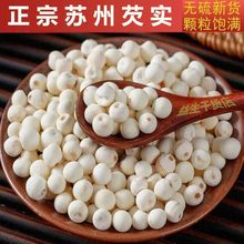 �K�ݰ��͌���؛�K��Ұ�����w��ȥƤ�u�^�ןo��o�����L