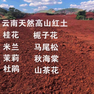 ��ϸ�ԭ����С�w���t���軨��������ľ���N���Ի��ܠI�B��