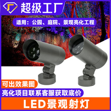 LED����������^ͥԺ������ˮ��؟����@�e���@�������՘��12W