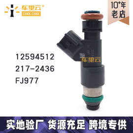 适用于GM别克 雪佛兰 喷油嘴 燃油喷射器 12594512~217-2436