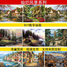 �����ͮ�DIY�S��ֱ�N�͏d�쮋�b��羳һ�����l ���L��ɫ���֮�