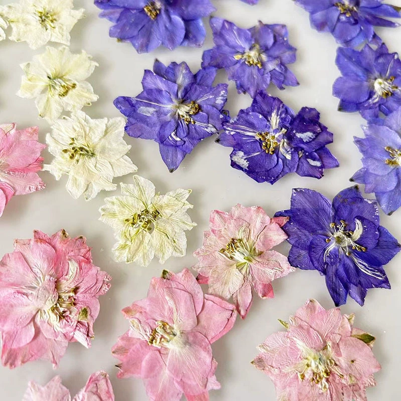 Оригинальный цвет маленький летающий ласточка сухой цветок тиснение тысячи птиц летающий ласточка ручной работы материал DIY капающий клей чехол для мобильного телефона украшения