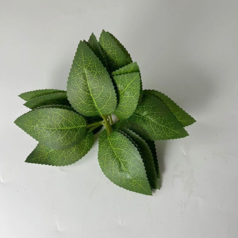 微信图片_20241029132133